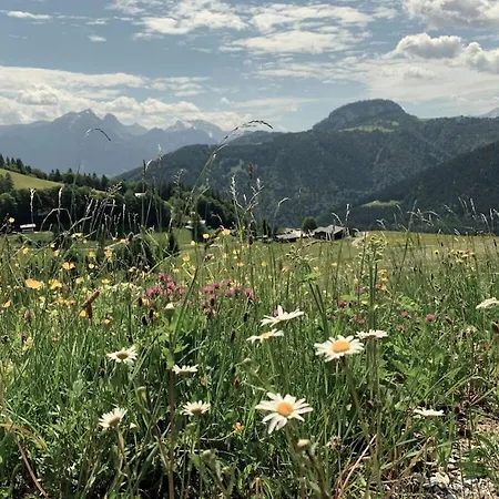 In With Wi-fi And Parking Prázdninový dům